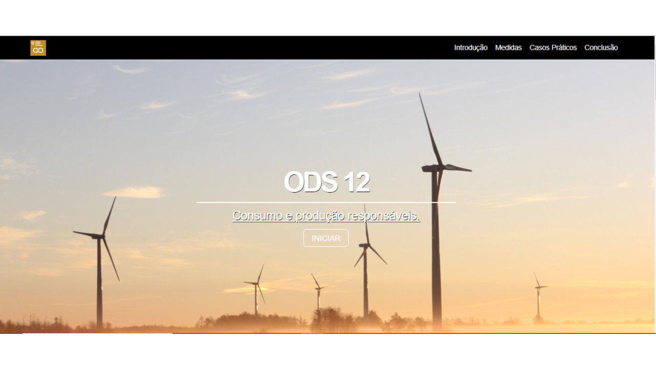 ODS 12